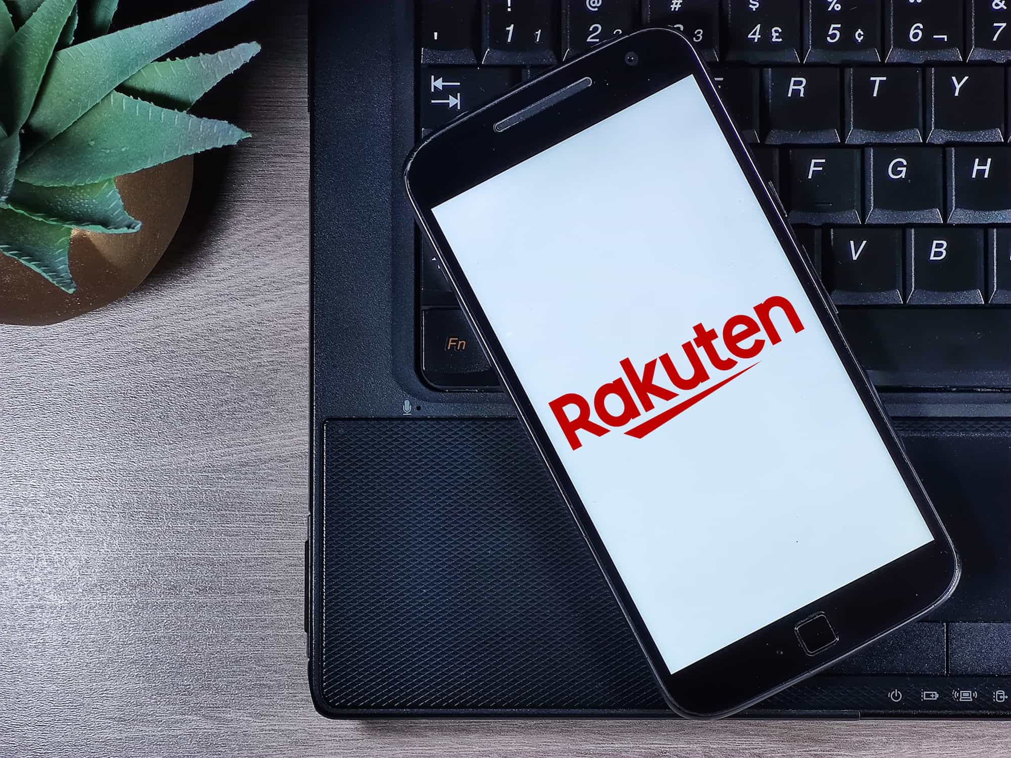 Rakuten Bank Card Loan